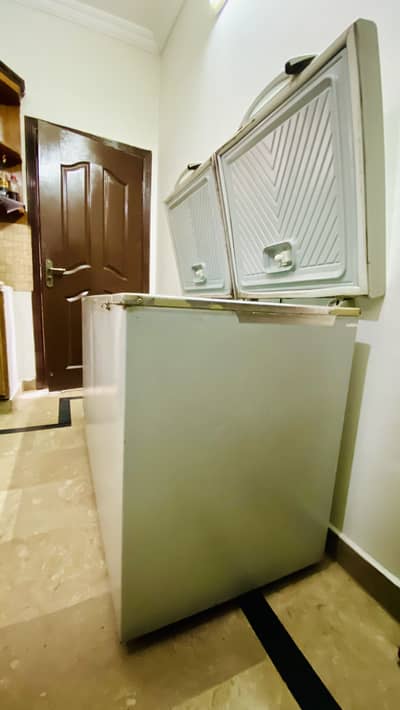 Full Size Deep Freezer / Referigerator