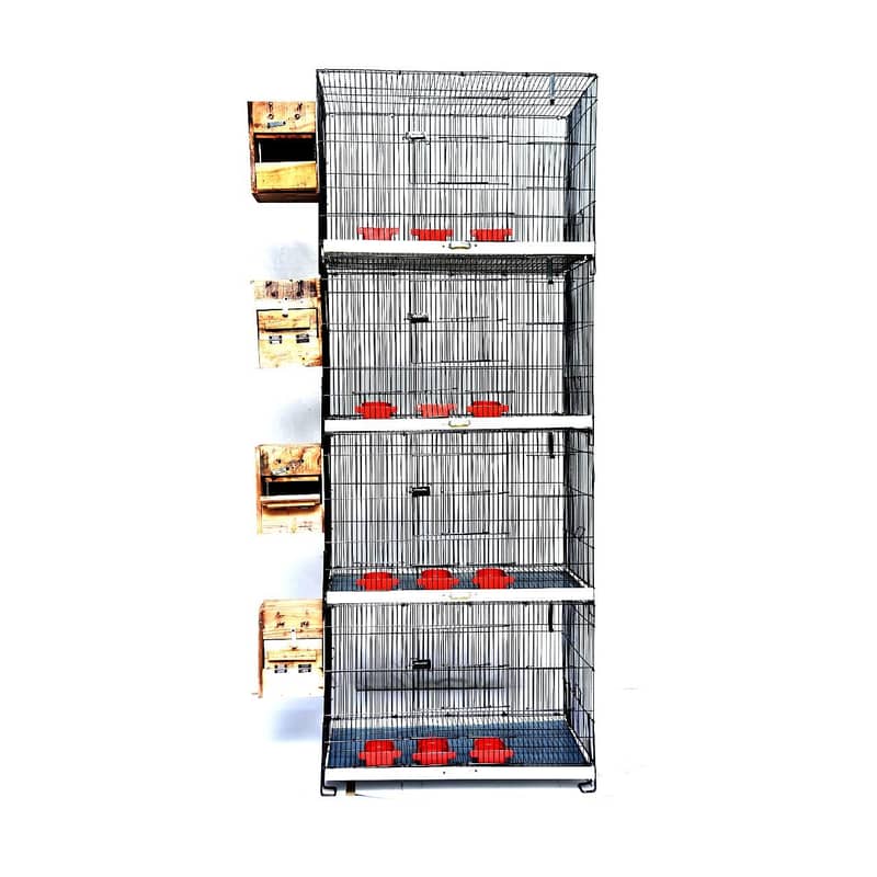 Cages 1