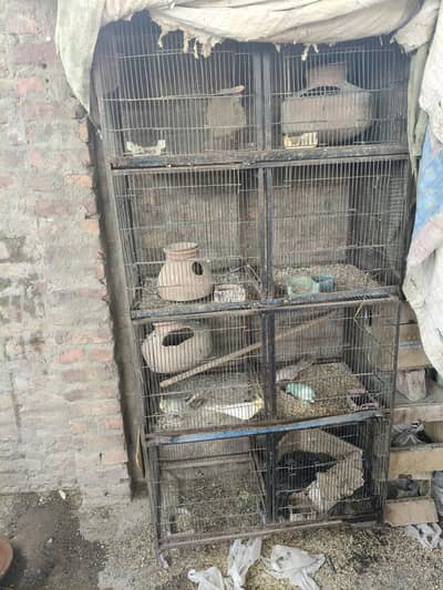 cage for sall