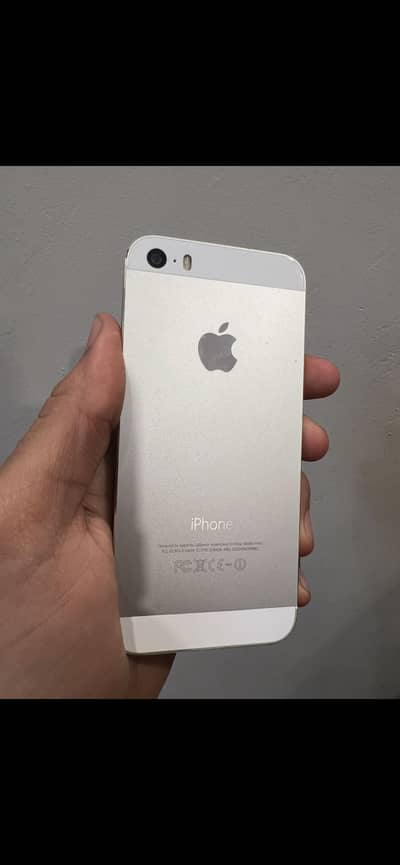 iPhone 5s