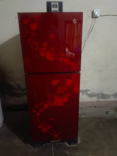 pel freej
