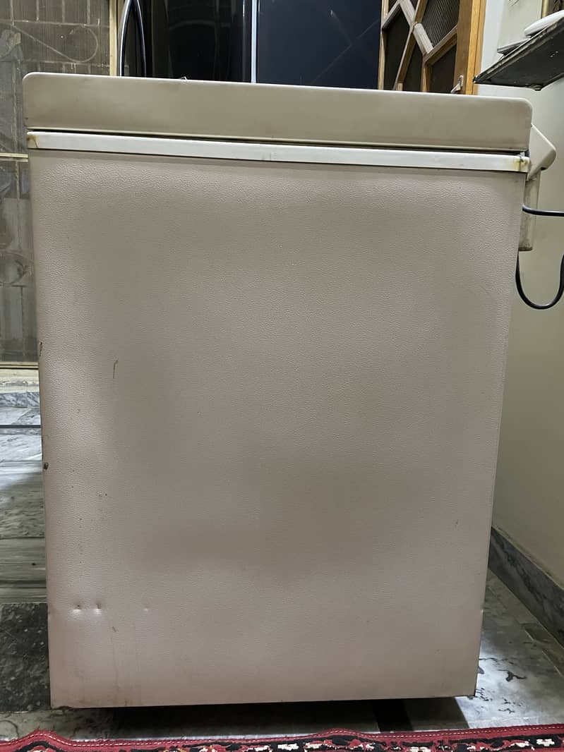 Waves D freezer 1