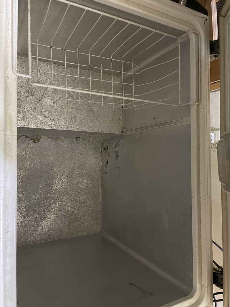 Waves D freezer 6