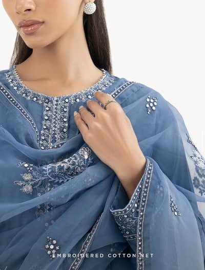 3- piece embroidered cotton net suit
