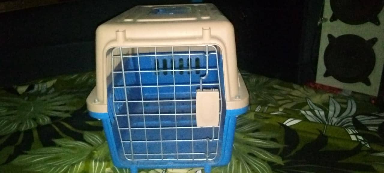 cat box 0