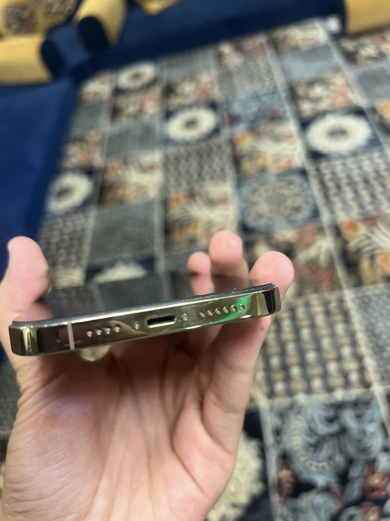 Iphone 13 Pro Max 1
