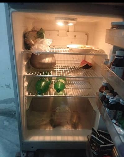 Medium size fridge