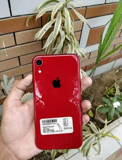IPHONE XR J. V