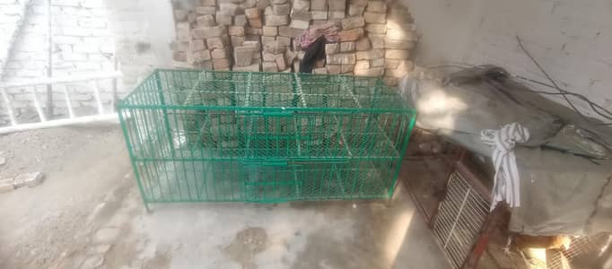 CAGE Panjra For Sell  6/2