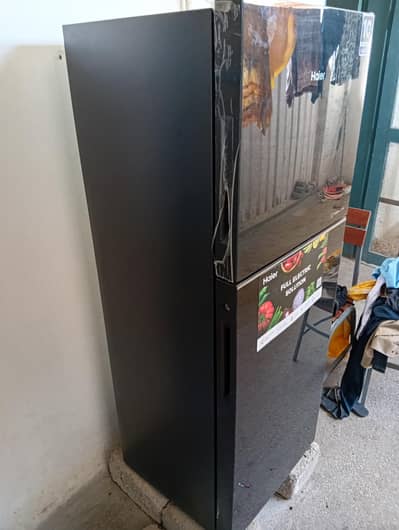 hair refrigerator, New