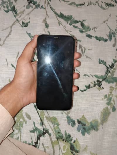 12 PRO MAX 256 gb (exchange possible)
