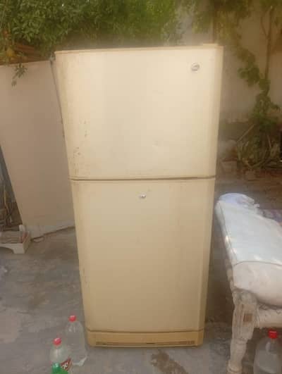 Pel Refrigerator fridge