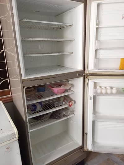 pel fridge full size