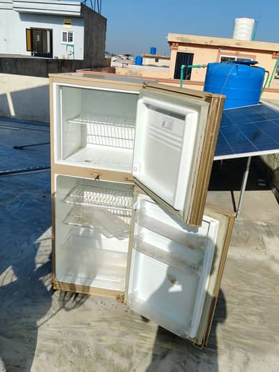 Pel Frig Medium Sized Compressor Refrigerator