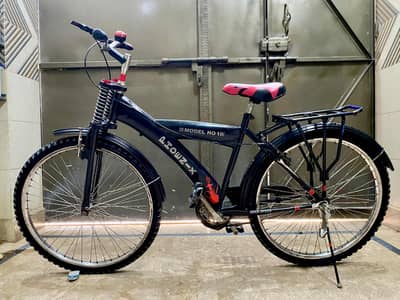 Phoenix 24in Cycle in good condition