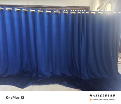 CURTAINS Velvet/ Organza