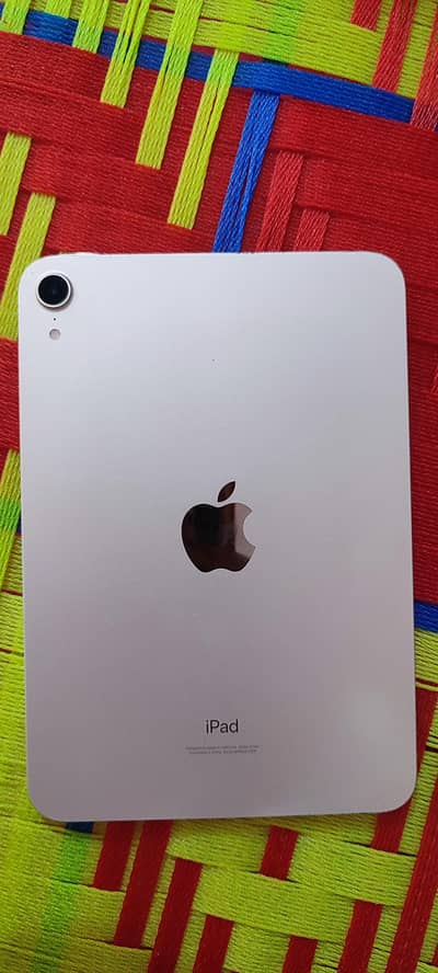 ipadmini6