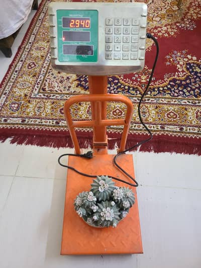 Omega Attari Weight Machine Best