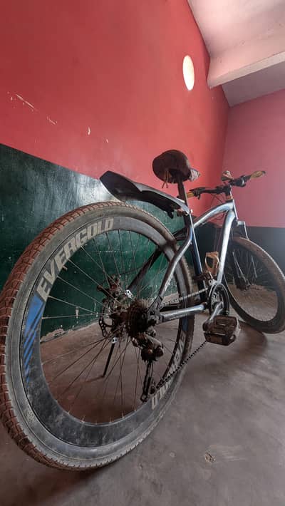 cycle for sele