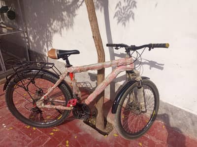 Cycle