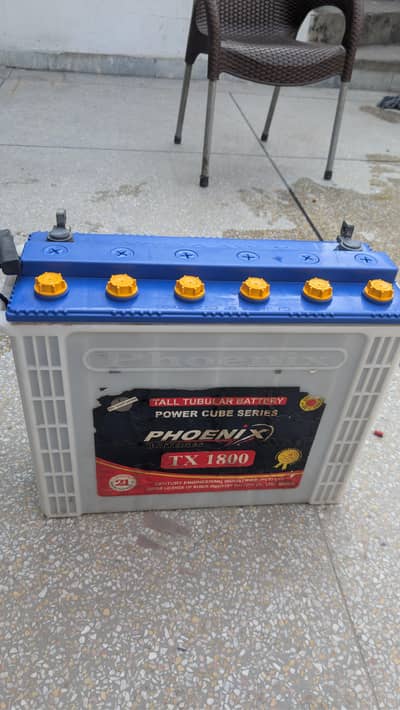 Phoenix Tall Tubular TX 1800 good condition and backup
