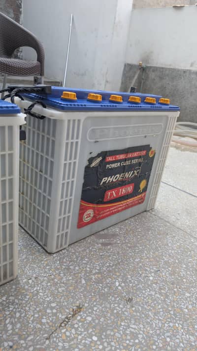 Phoenix Tall Tubular TX 1800 good condition and backup