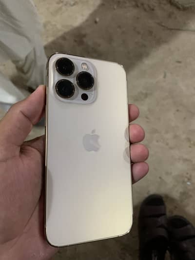 Iphone 13 pro golden colur non pta