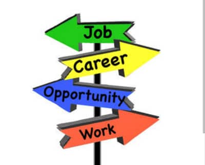 Urgent Females staff required (Office work & online job)