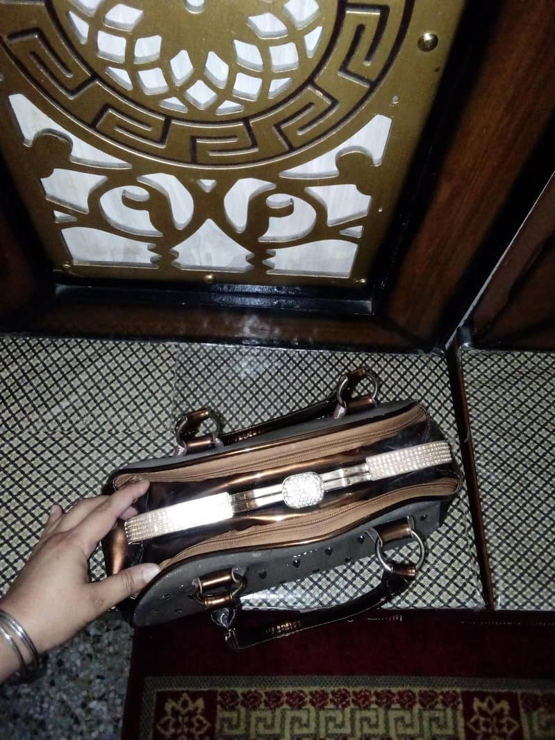 hand bag 2