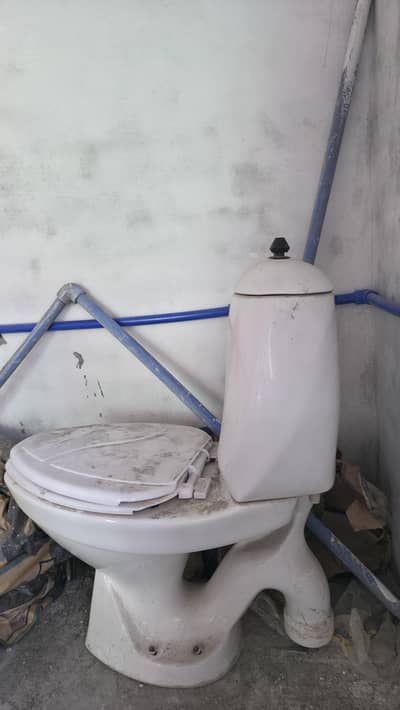 English Toilet 
