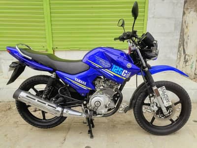 2022 model All punjab number