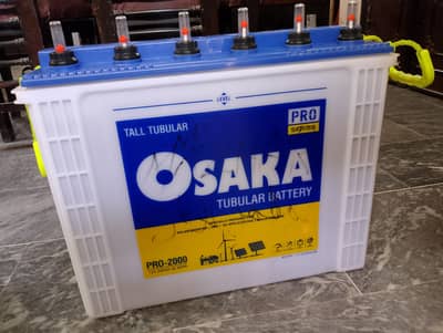 Osaka Tubular Battery PRO-2000 For Sale 