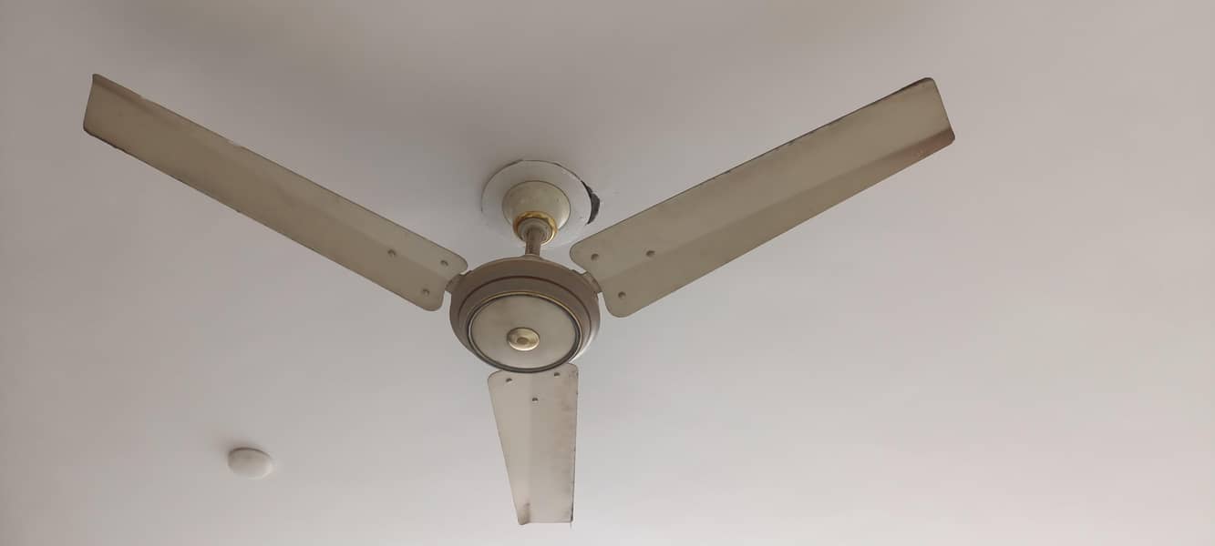 ceiling fan 1