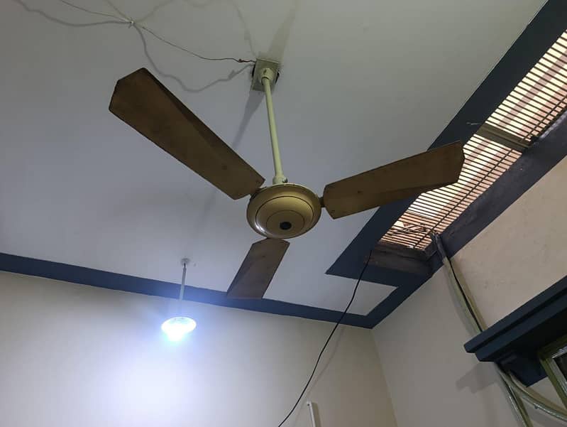 ceiling fan 3