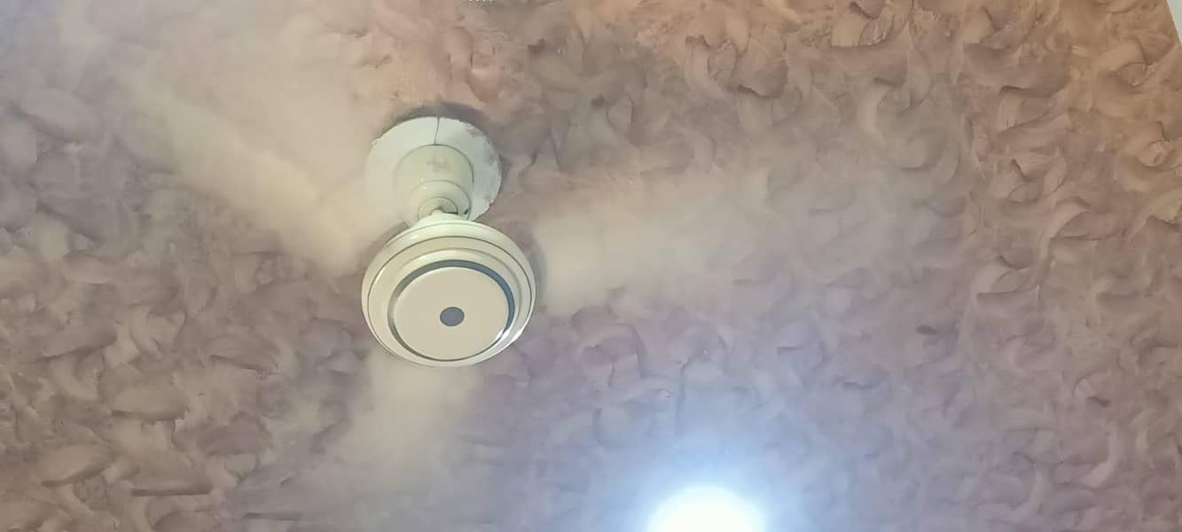 ceiling fan 4