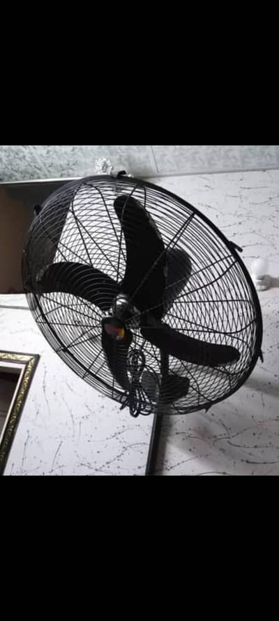 Royal Fan
