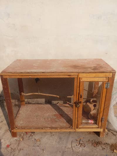 birds cage