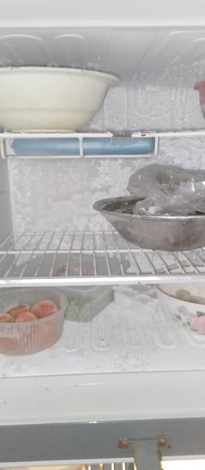 refrigerator