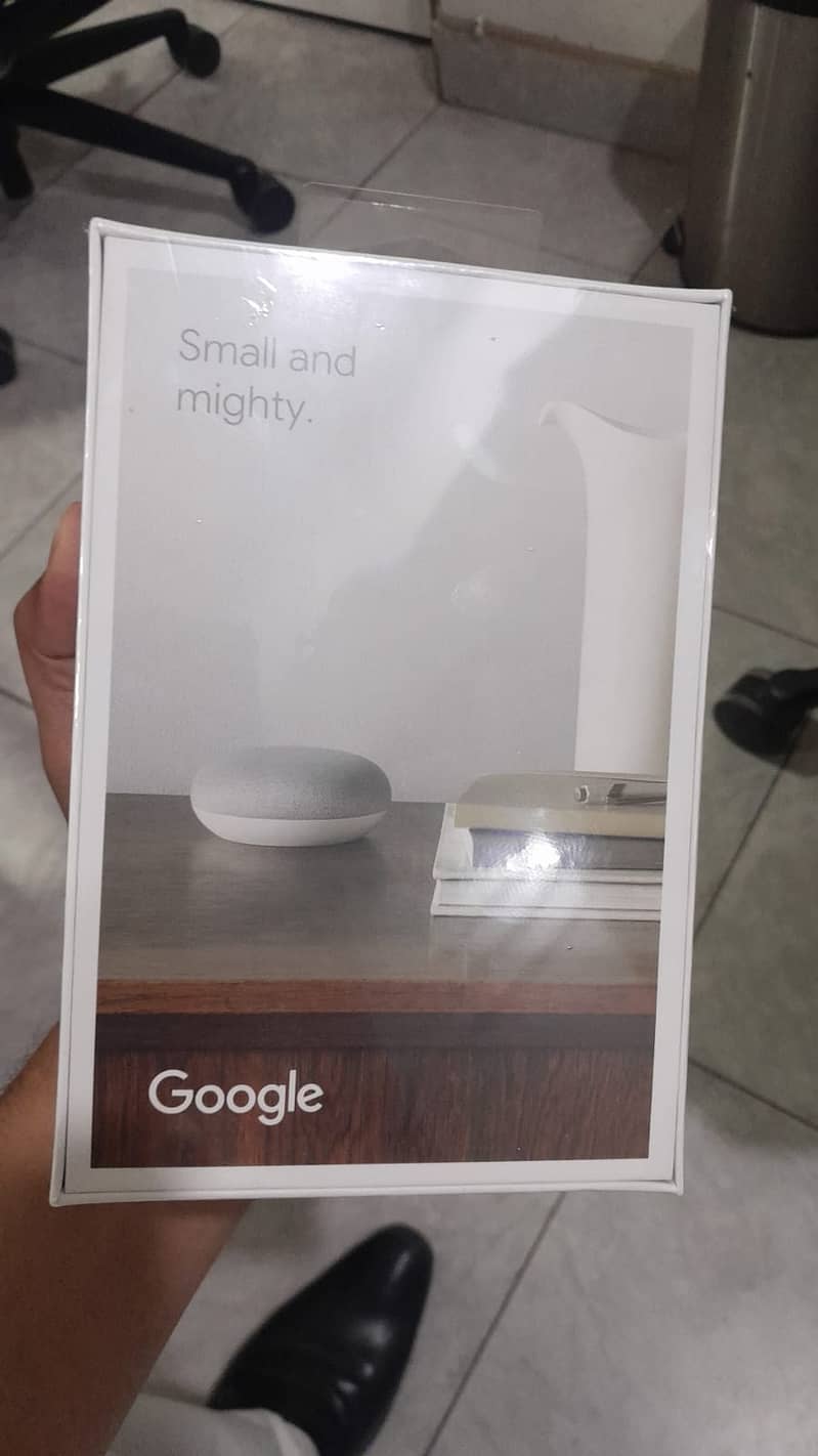 Google Nest Mini 2