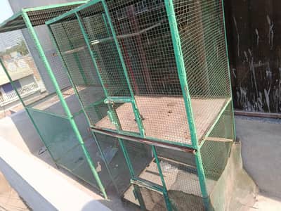 Hen or Parrot Cages