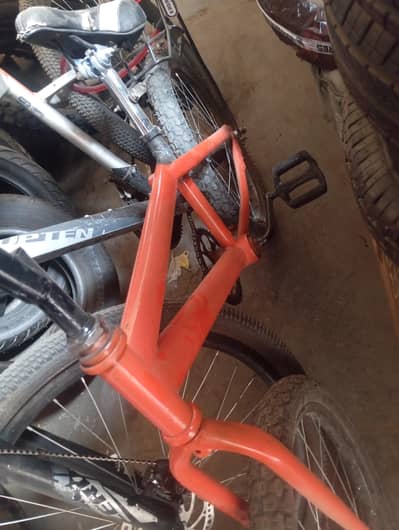 willing wali cycle