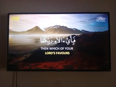 LED LCD