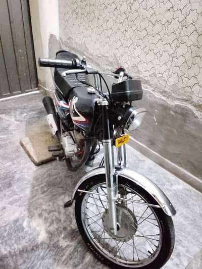 19 model