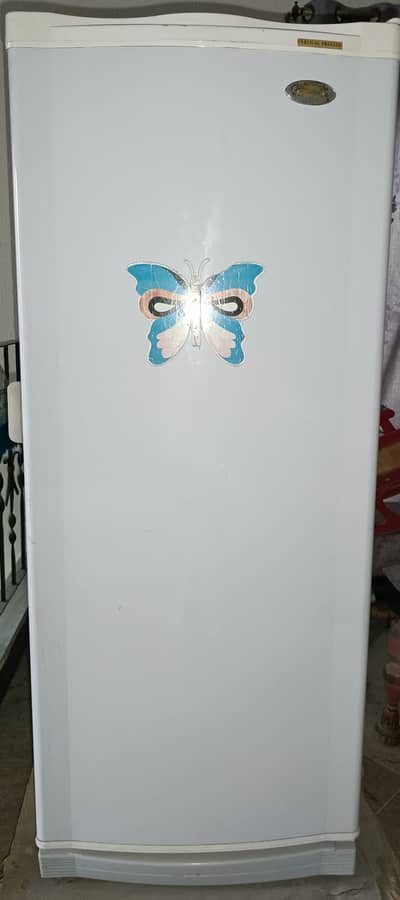 Vertical Freezer