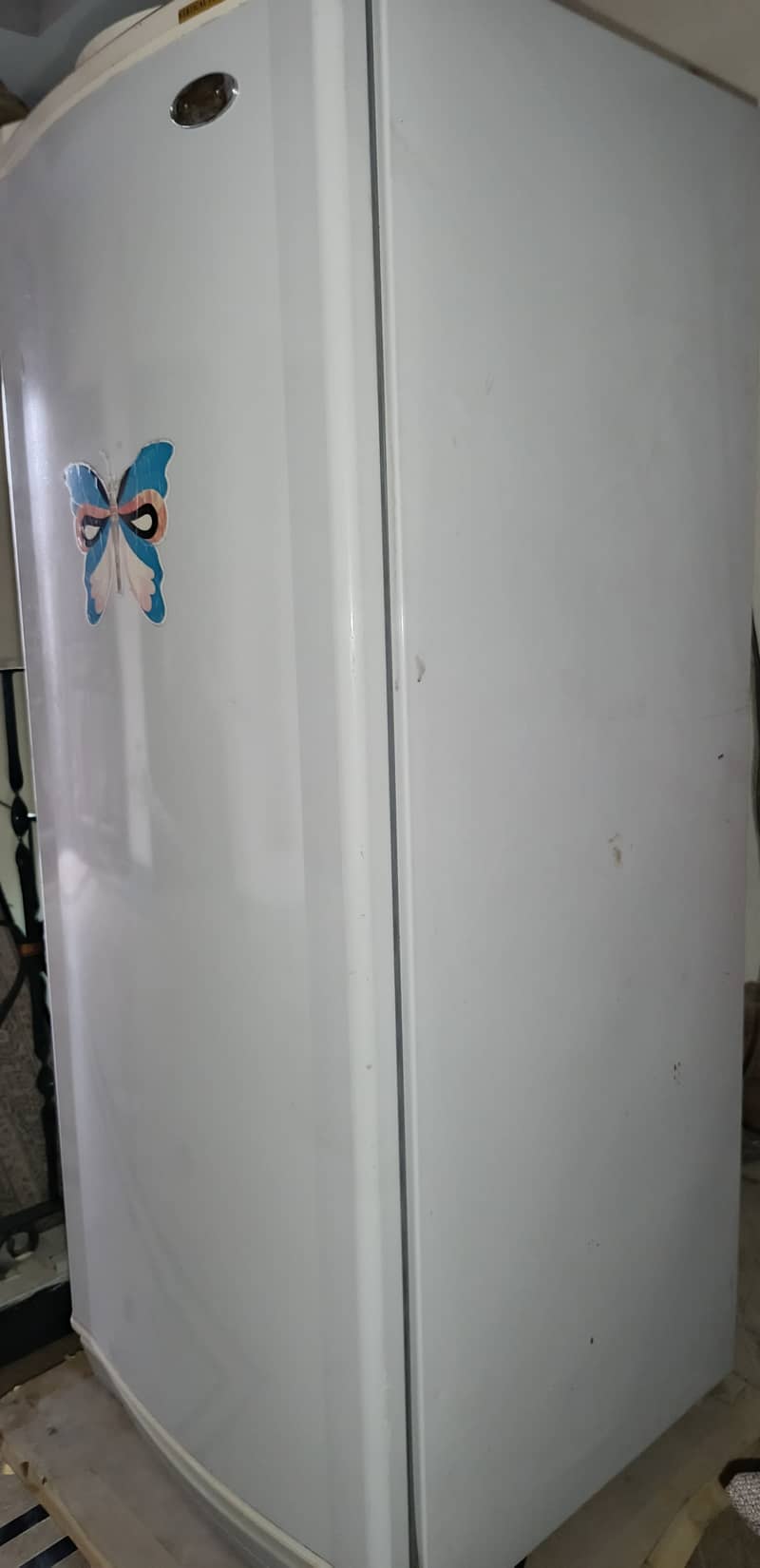 Vertical Freezer 1