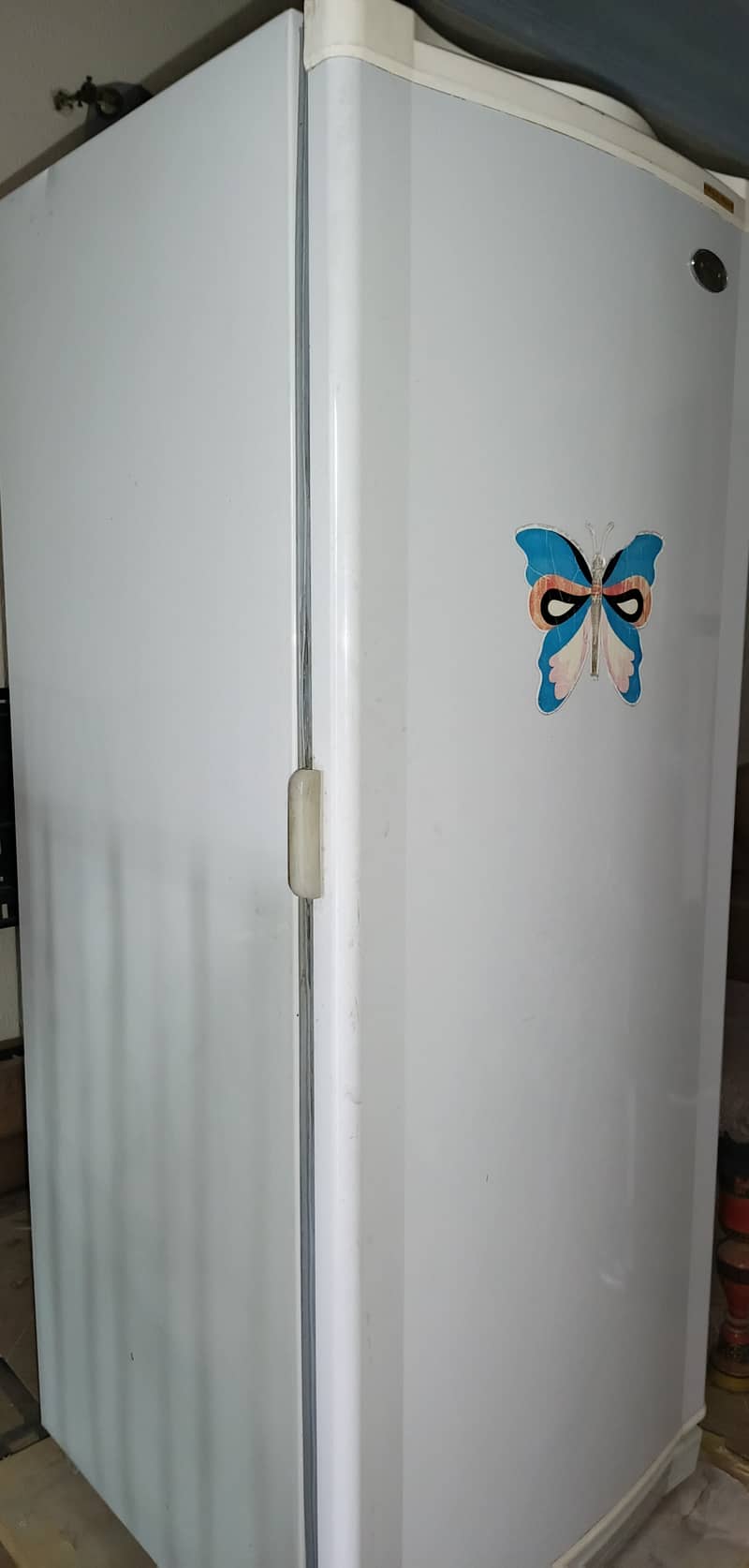 Vertical Freezer 3