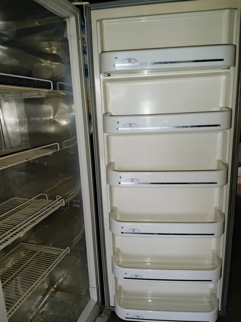 Vertical Freezer 4