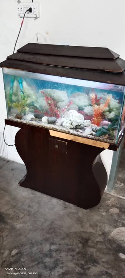 aquarium for sale