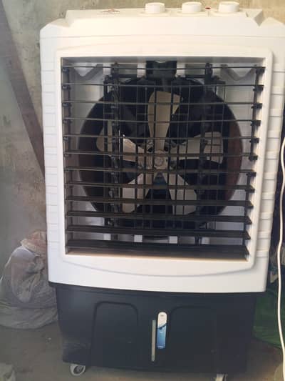 fresh condition