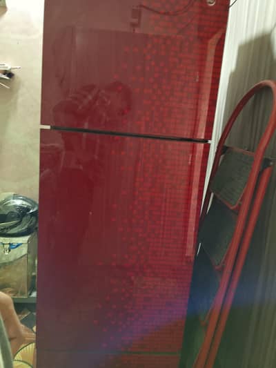 pel refrigerator best condition